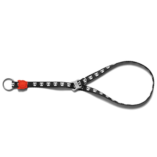 ZeeDog Skull Obedience Collar