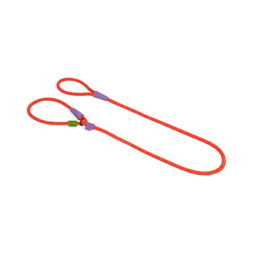 ZeeDog Slip-N-Lock Everest