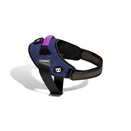 ZeeDog Wicked FlyHarness