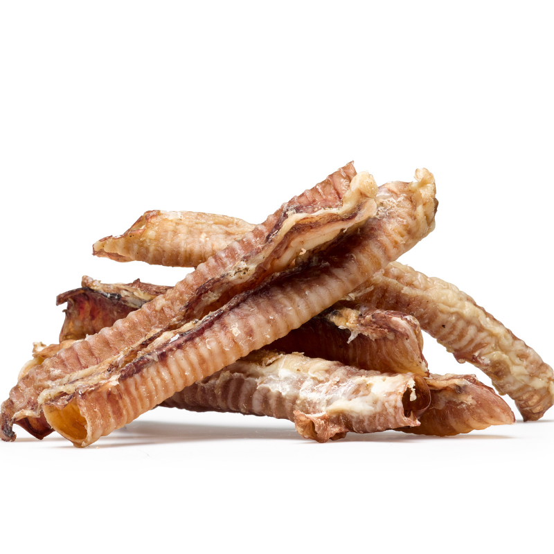 ZiwiPeak New Zealand Lamb Trachea Dog Chew - 60g