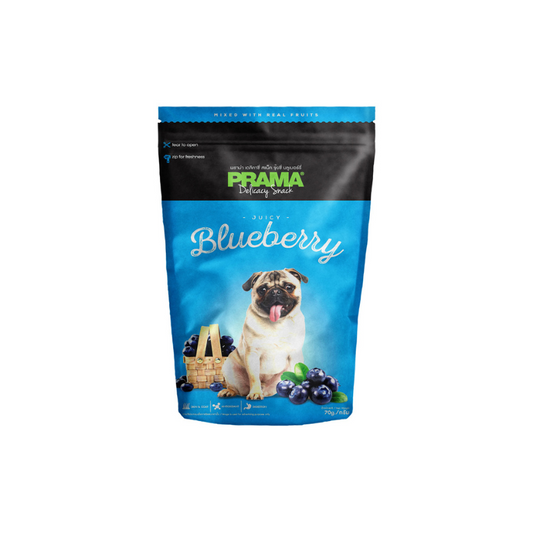 Prama Delicacy Snack Juicy Blueberry 70g