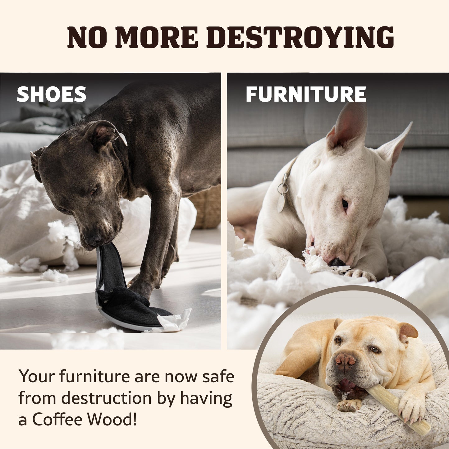 SingAPaw Coffee Wood Chew