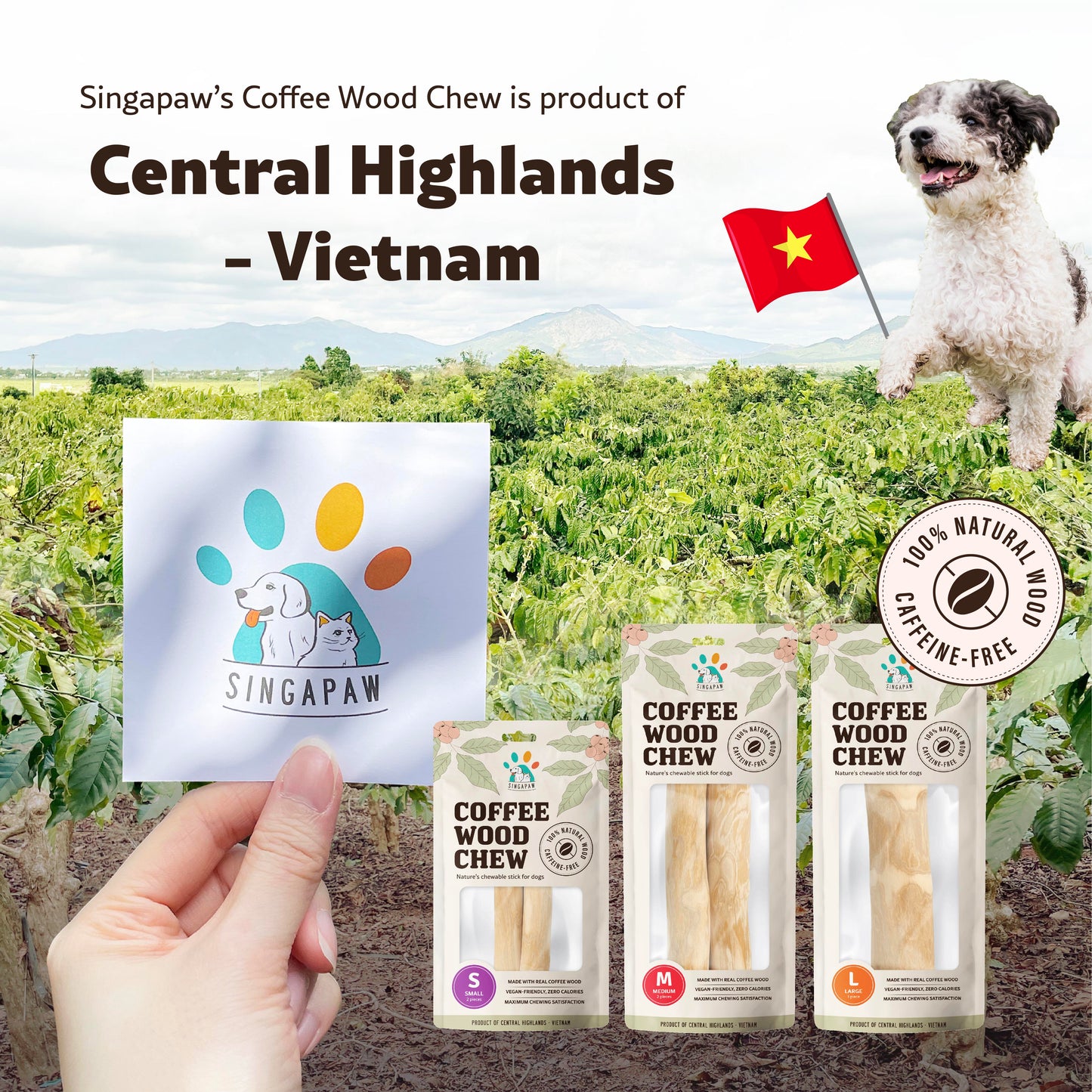 SingAPaw Coffee Wood Chew