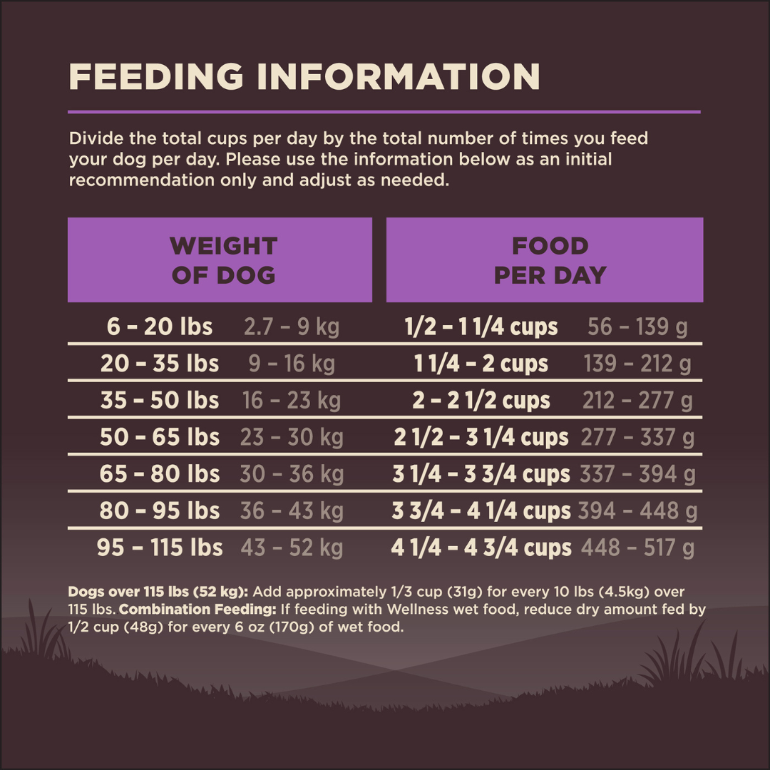 Wellness Core Grain Free Senior Age Advantage