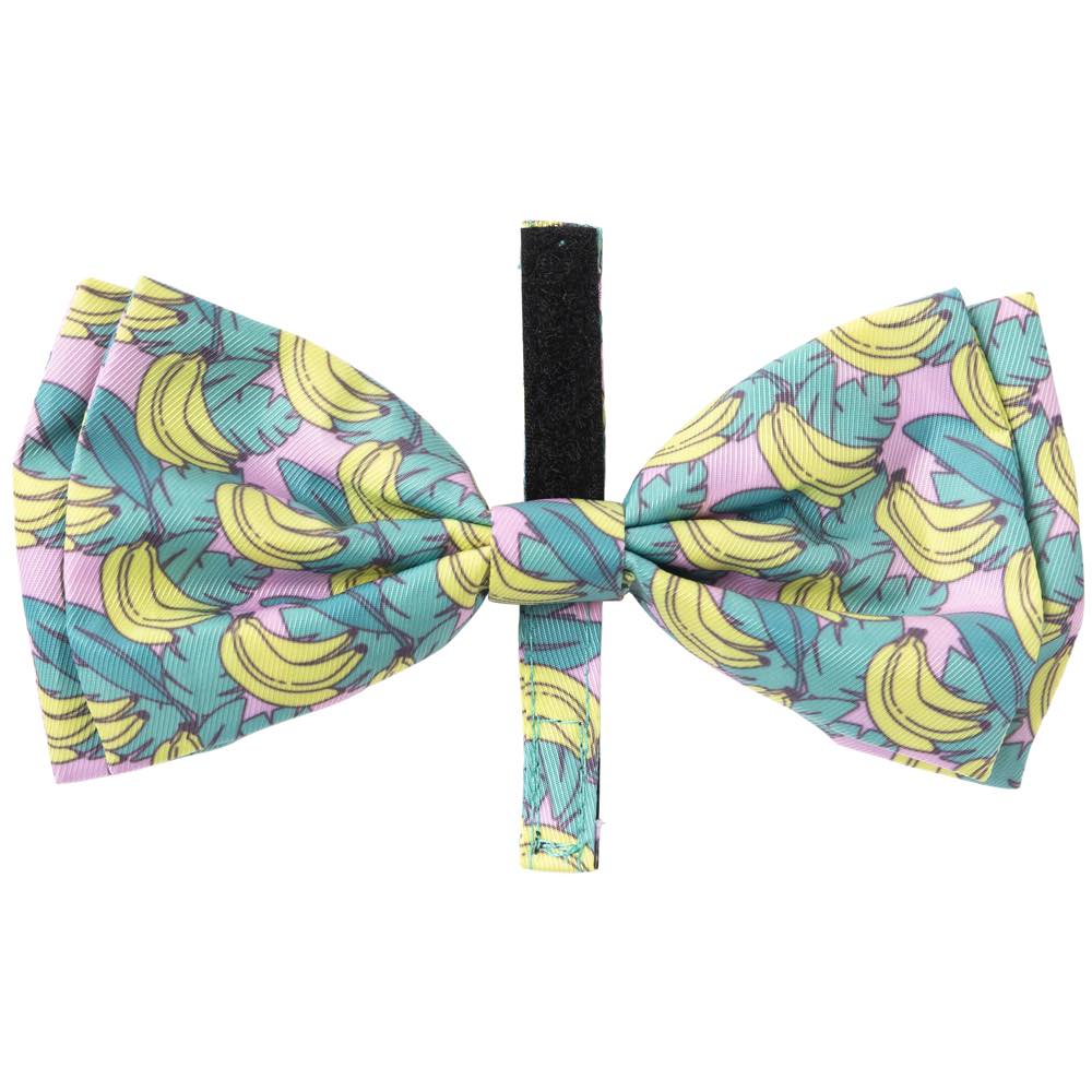 FuzzYard Bowtie For Cats & Dogs (Bananarama)