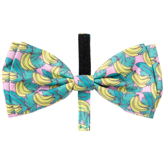FuzzYard Bowtie For Cats & Dogs (Bananarama)