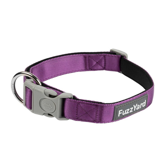 FuzzYard Dog Collar in Grape purple neoprene with a grey buckle and silver D-ring.