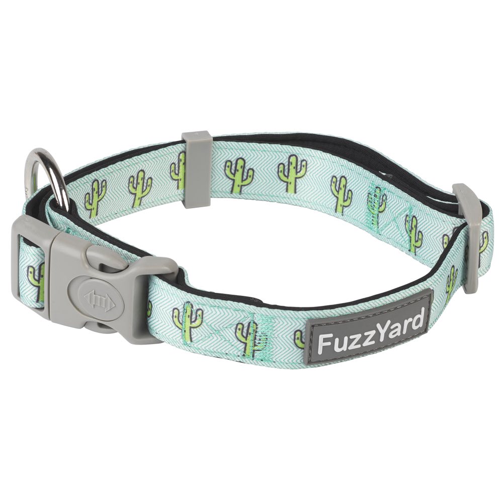 FuzzYard Dog Collar (Tuscon)