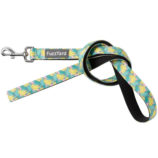 FuzzYard Bananarama dog leash, light blue neoprene with yellow bananas, black handle, and silver swivel clasp.
