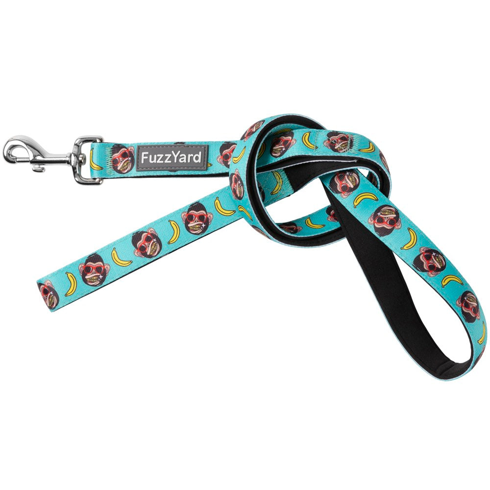 FuzzYard Dog Leash in Gor-illz design: turquoise neoprene with cool monkey and banana print, silver swivel clasp.