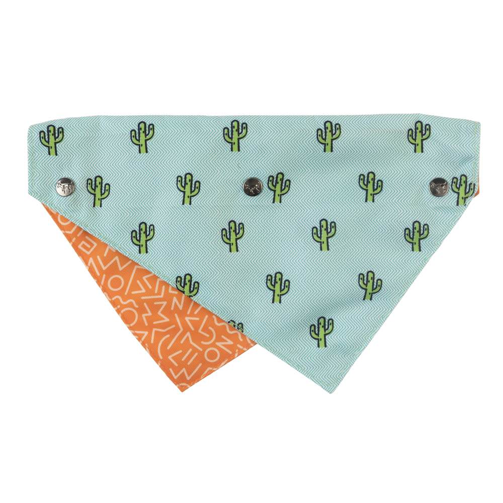 FuzzYard Pet Bandana (Tucson)