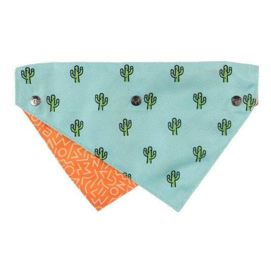 Reversible FuzzYard Pet Bandana (Tucson) with pastel turquoise cacti and orange geometric prints.