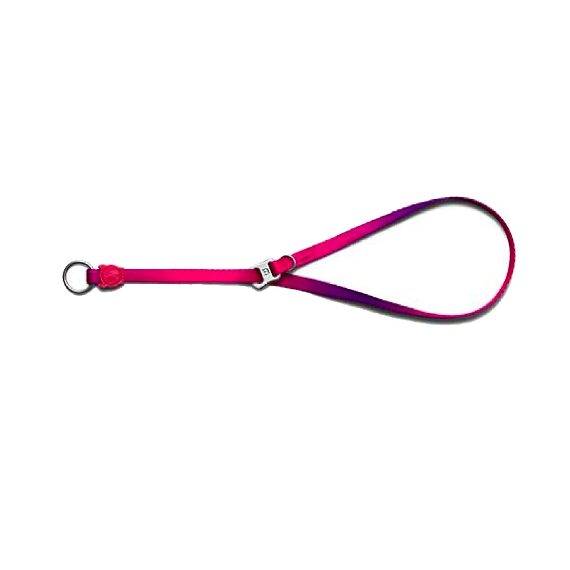 Juno Obedience Collar