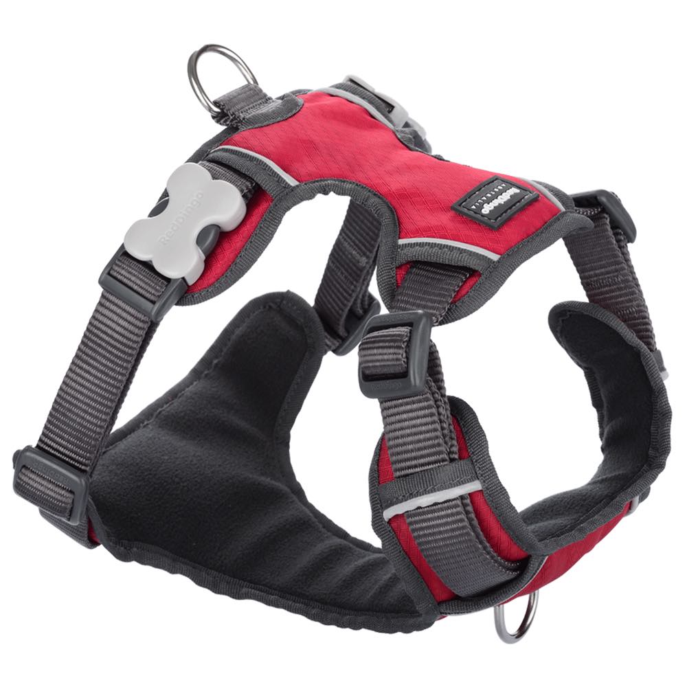 Red Dingo Padded Dog Harness (Medium)