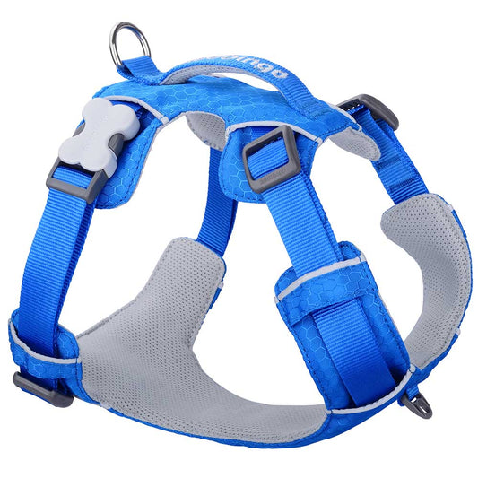 Red Dingo Sport Harness Electric Blue