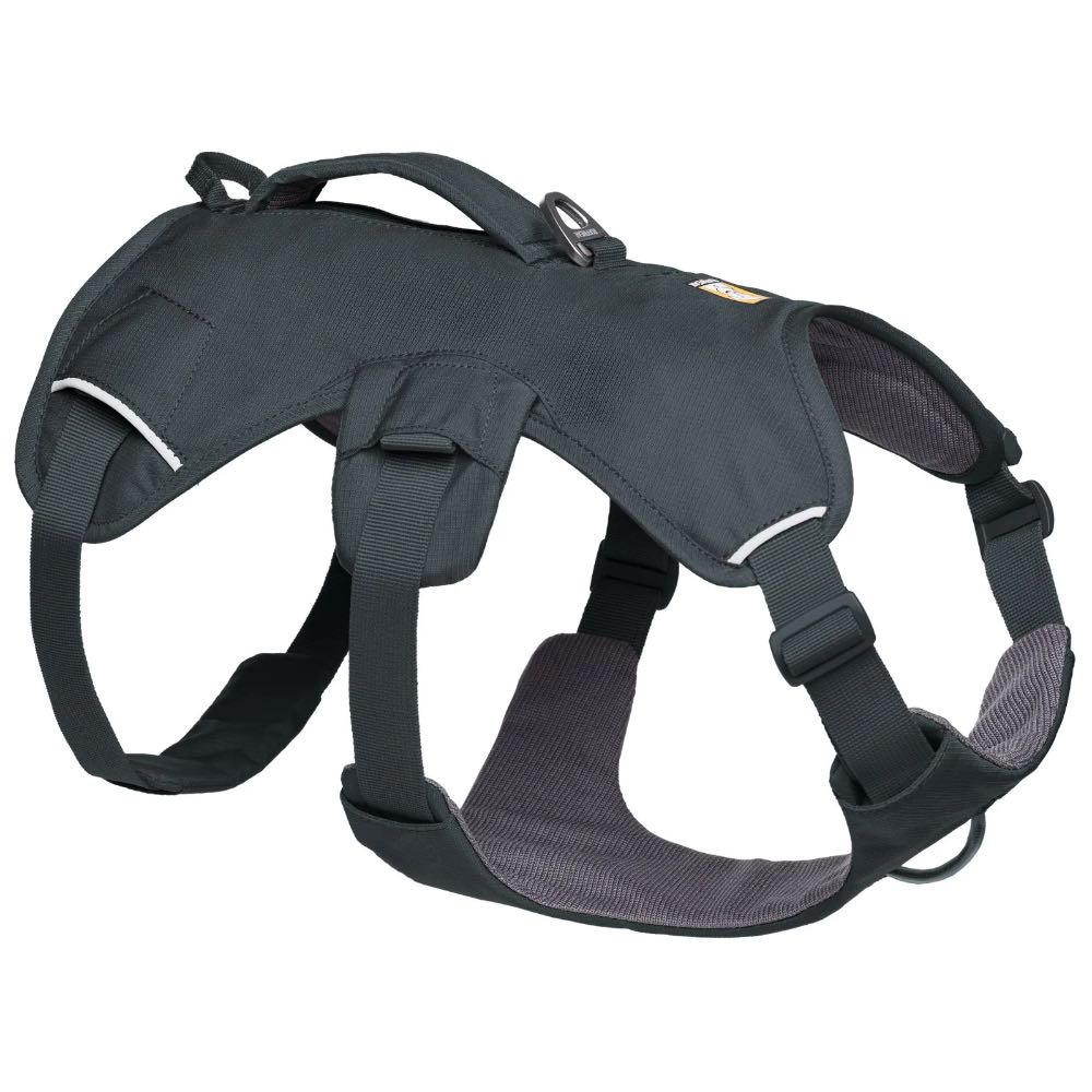 Ruffwear Web Master Secure Multi-Function Handled Dog Harness (Basalt Gray)