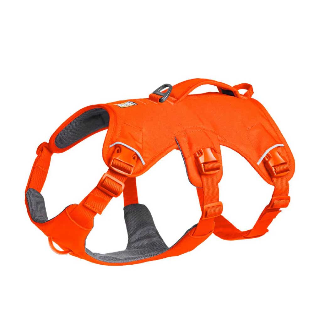 Ruffwear Web Master Secure Multi-Function Handled Dog Harness (Blaze Orange)