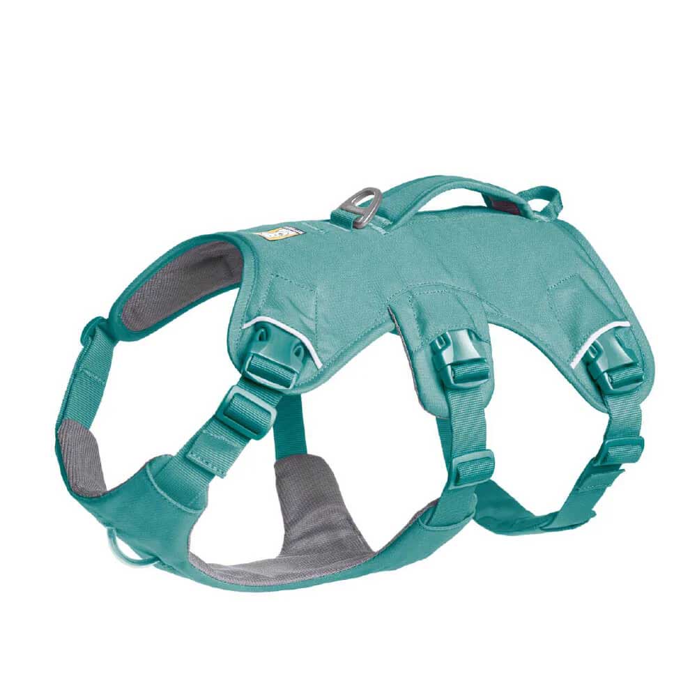 Ruffwear Web Master Secure Multi-Function Handled Dog Harness (River Rock Green)