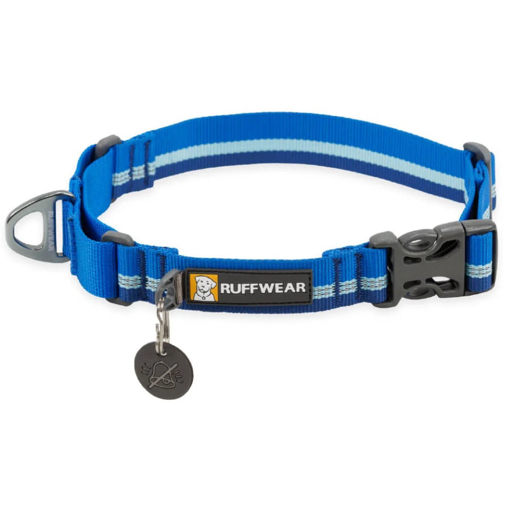 Ruffwear Web Reaction Reflective Martingale Dog Collar (Blue Pool)