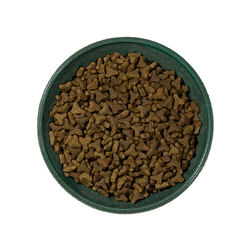 Annamaet Feline Sustain