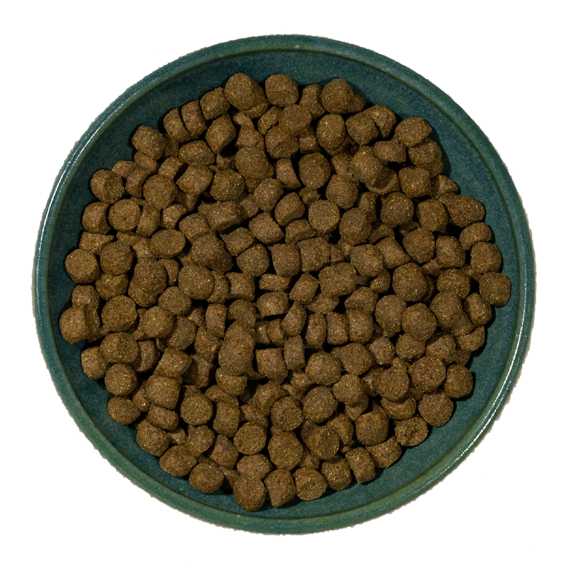 Annamaet Original Senior