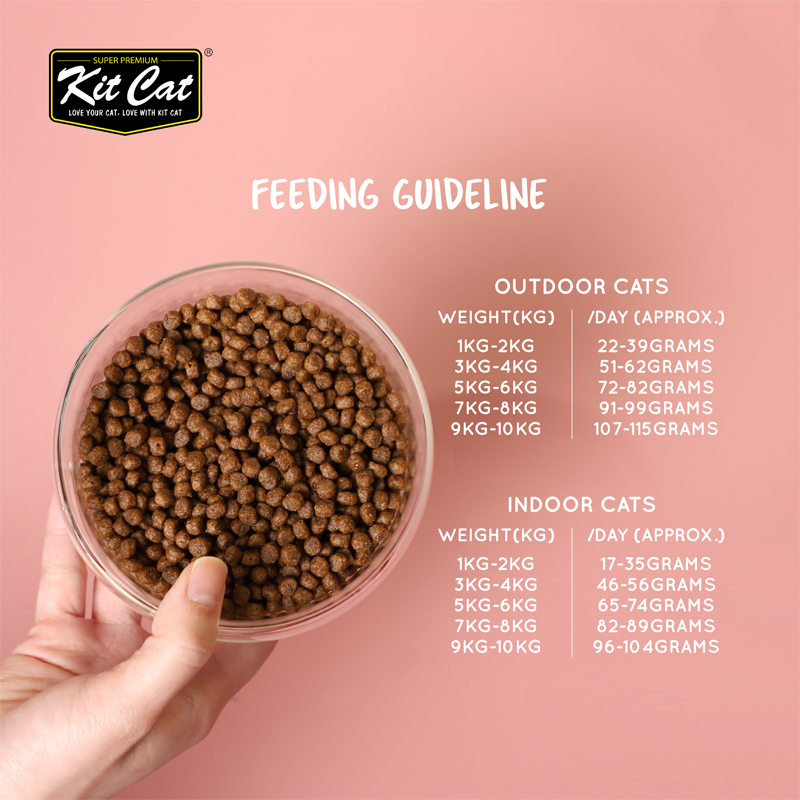 Kit Cat No Grain Dry Cat Food - Chicken & Turkey