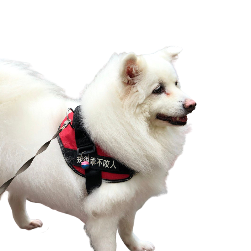 No-Pull Reflective Easy On Harness