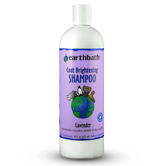 EarthBath Coat Brightening Lavender Shampoo