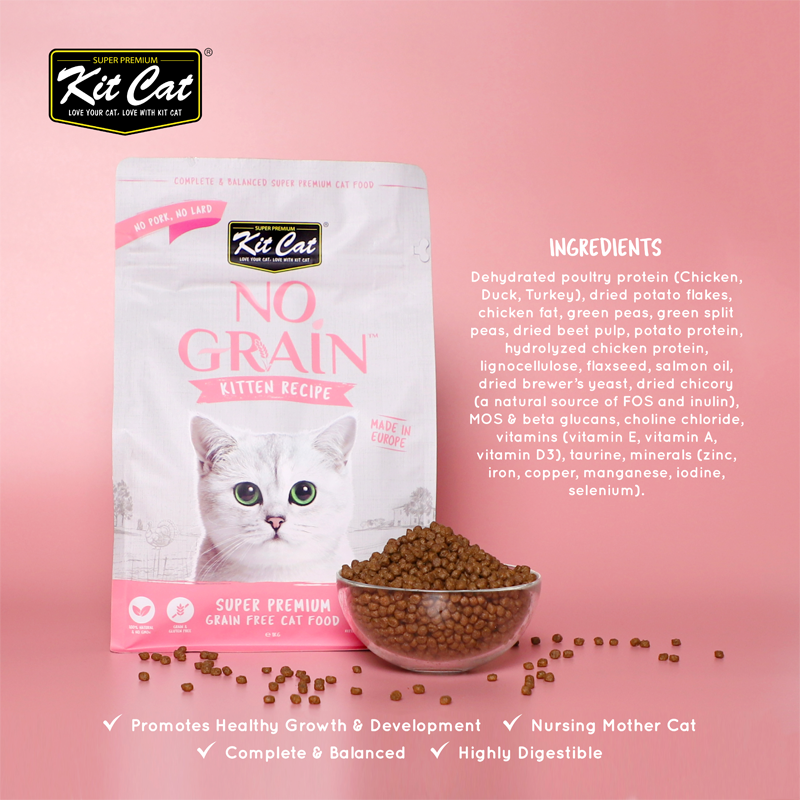 Kit Cat No Grain Dry Cat Food - Kitten